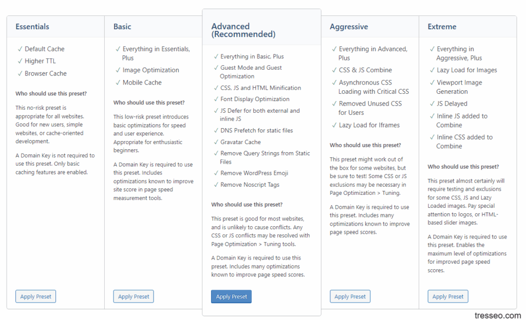 Screenshot of the LiteSpeed Cache plugin preset configuration screen
